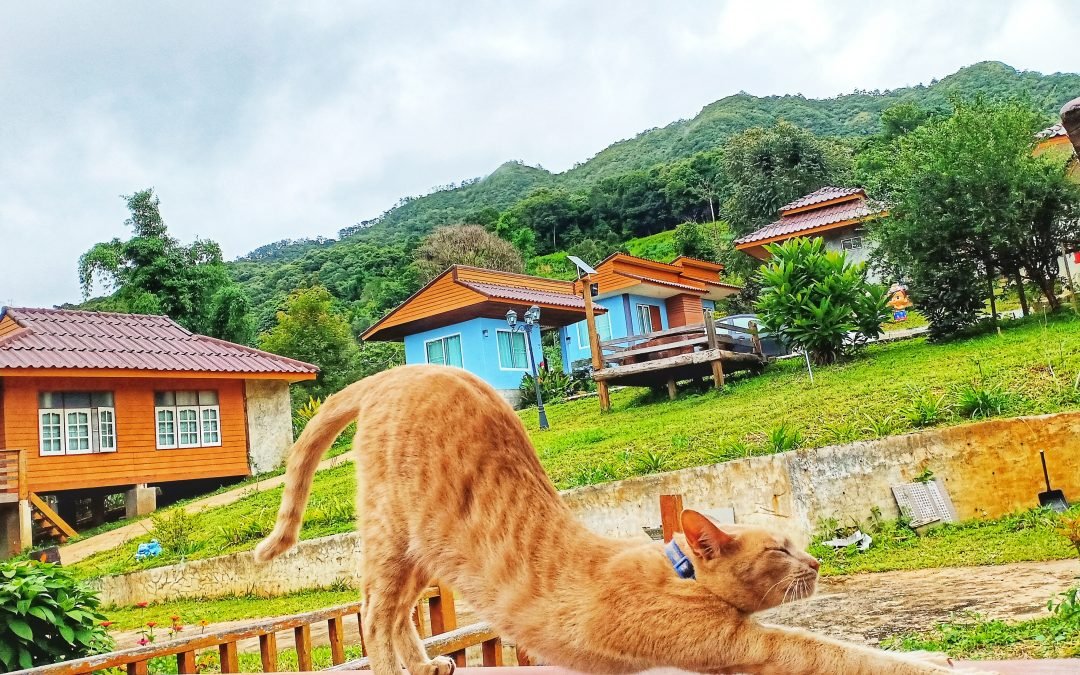 เรื่องราวผ่านแอพ