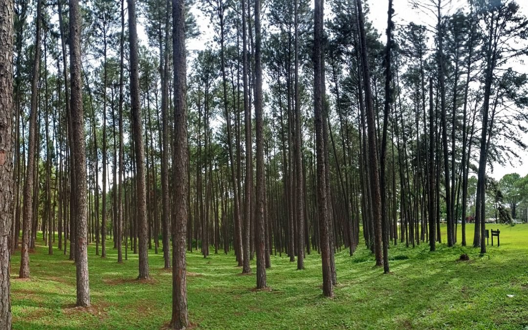 เรื่องราวผ่านแอพ