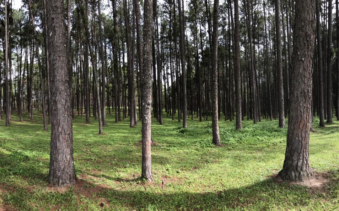 เรื่องราวผ่านแอพ