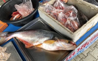 เรื่องราวผ่านแอพ