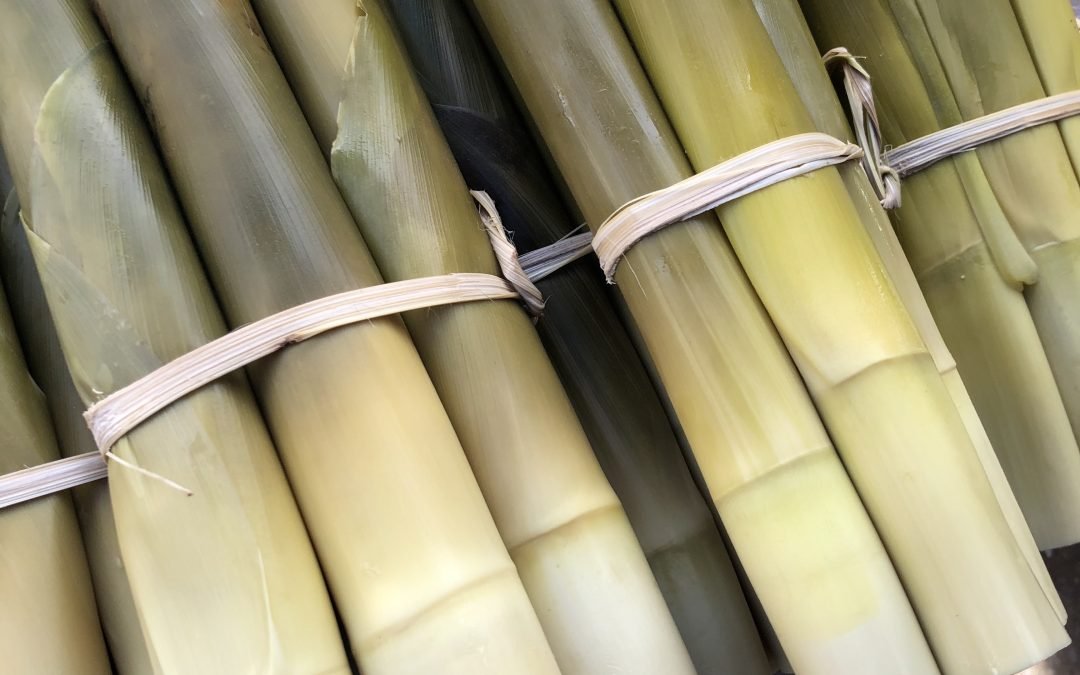 เรื่องราวผ่านแอพ